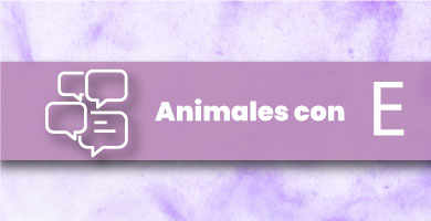 Animales con E
