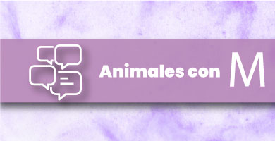 Animales con M