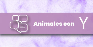 Animales con Y