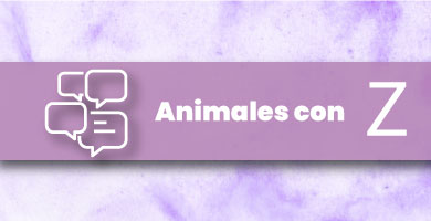 Animales con Z